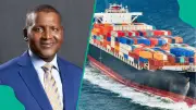 Dangote: Private Investment in Fisheries Can Create 500,000 Jobs in Nigeria