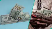 Naira Mixed Against Dollar: Black Market Falls, Official Market Gains