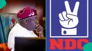 NDC Reiterates Demand to Tinubu: Sack Chief of Staff Gbajabiamila Over Fake Agency Scandal