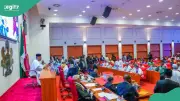 Nigerian Senate Rejects Using South African Company Profits to Compensate Xenophobia Victims
