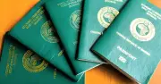 NIS releases step-by-step contactless passport renewal guide for Nigerians abroad